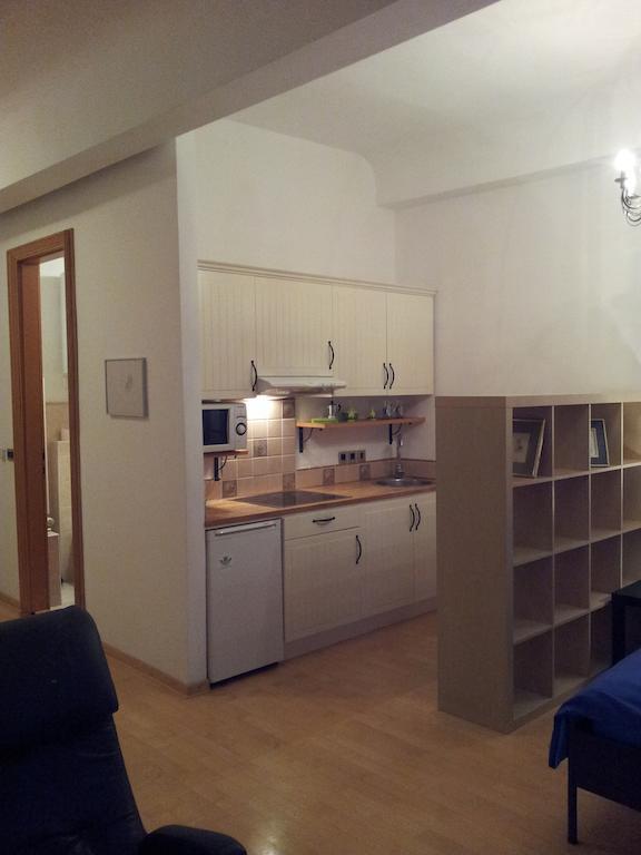 Studio Ian 1 Ljubljana Cameră foto