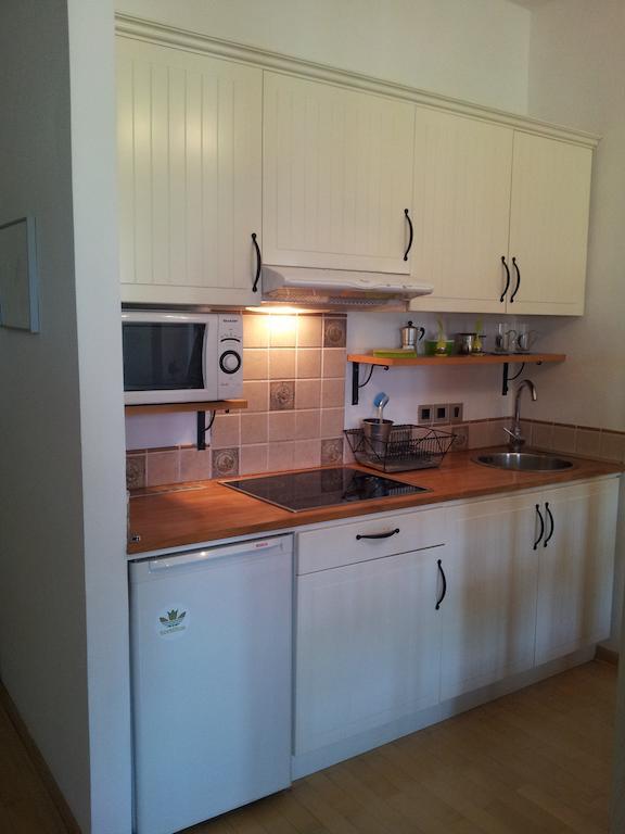 Studio Ian 1 Ljubljana Cameră foto